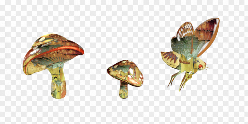 Psylocibin Mushroom Psilocybin Butterflies And Moths PNG