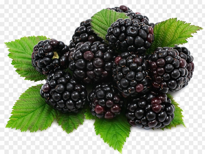 Blackberry Fruit Mulberry Food Nutrition PNG