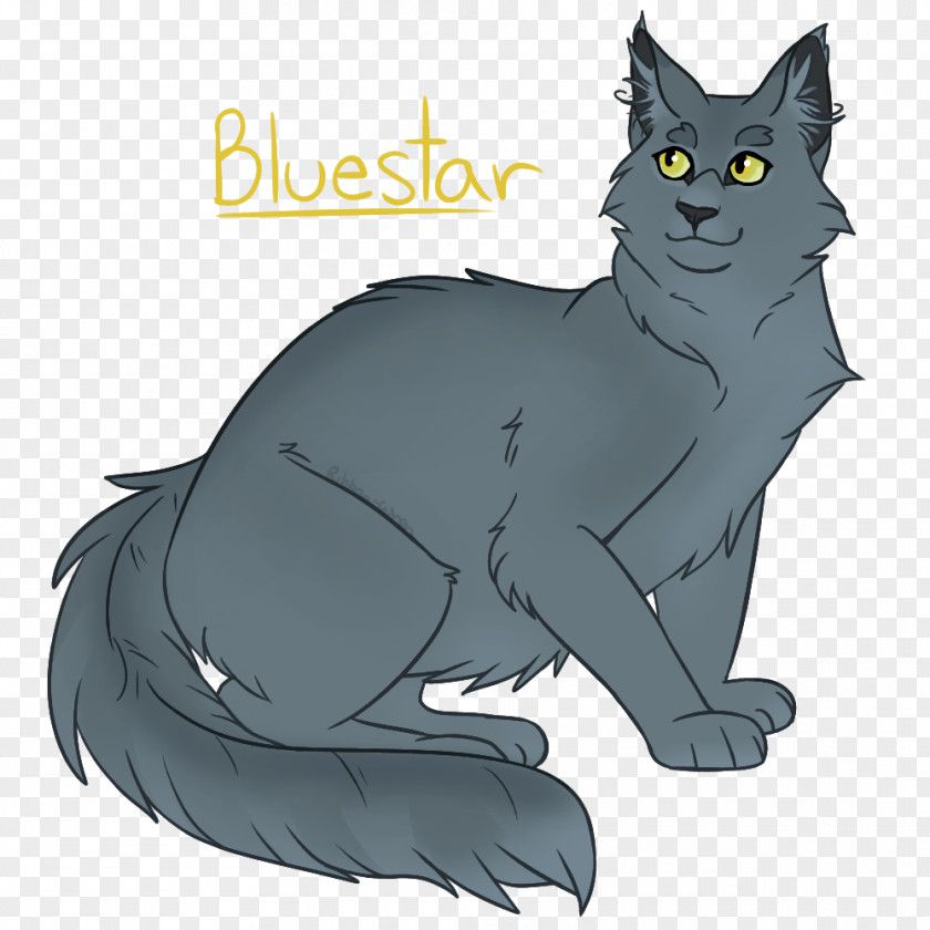 Epic Warrior Cat Drawings Korat Whiskers Wildcat Drawing Domestic Short-haired PNG