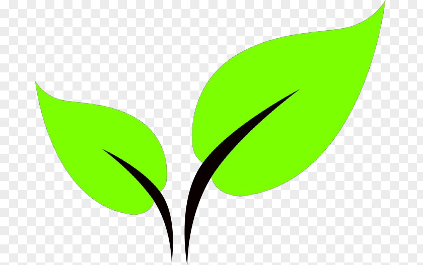 Green Leaf Plant Logo Flower PNG
