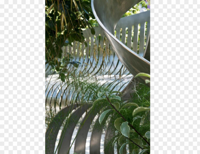 Leaf Fence Tree Houseplant PNG