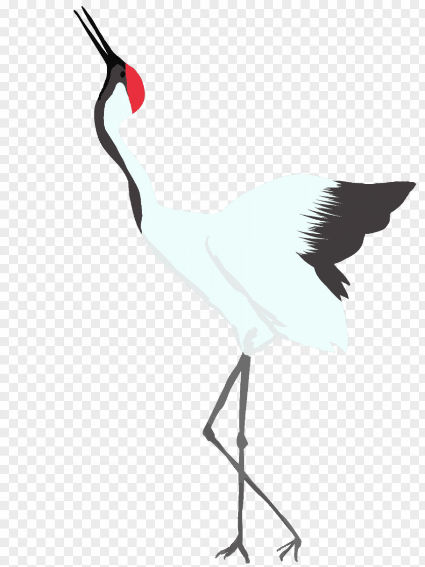 Crane Bird Illustrator Clip Art PNG