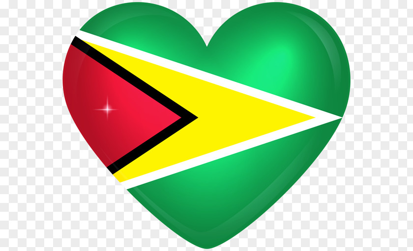 Flag Of Guyana National PNG