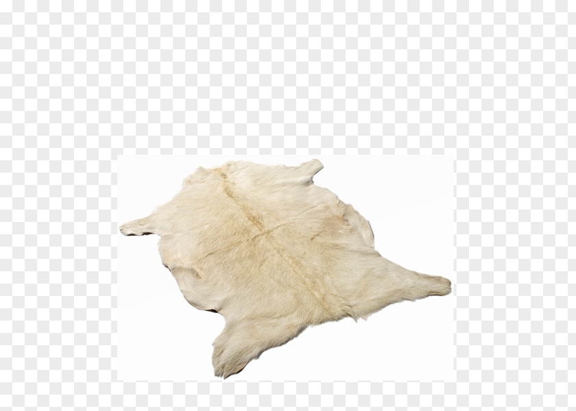 Goat Goatskin Hide Sheepskin Tibet PNG