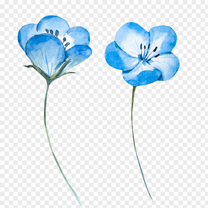 Light Blue Watercolor Flowers Painting Flower PNG