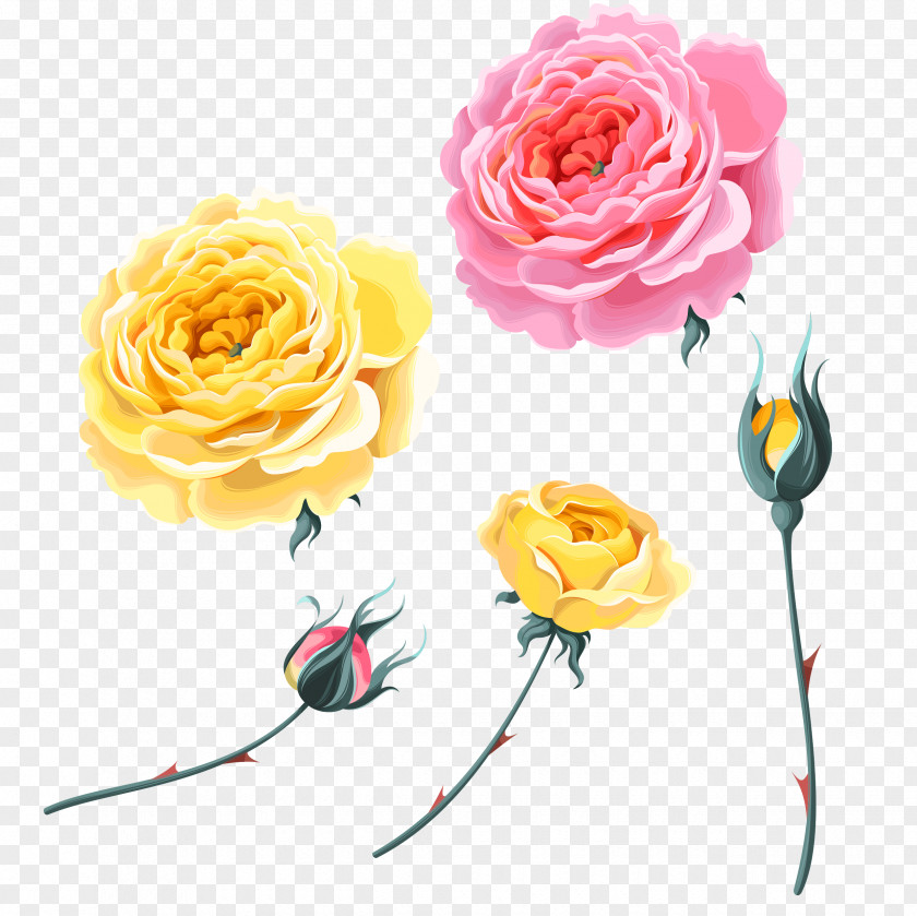 Rose,Pink Roses,Yellow Rose,Bud Garden Roses Beach Rose Yellow PNG