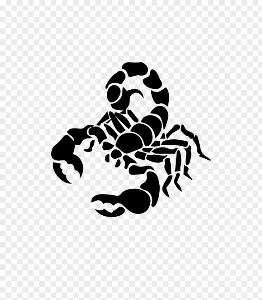 Scorpion PNG