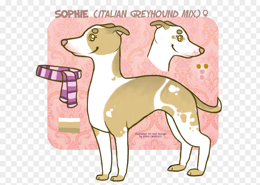 Tequilla Italian Greyhound Whippet Spanish Dog Breed PNG