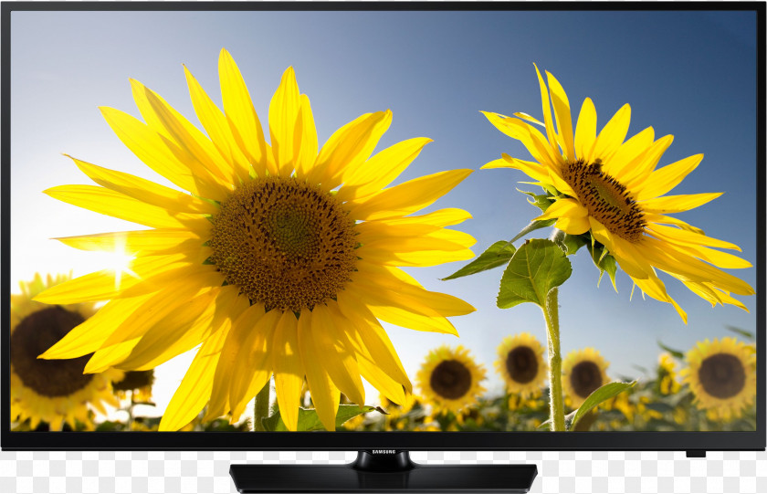 Tv LED-backlit LCD Samsung Smart TV High-definition Television 1080p PNG