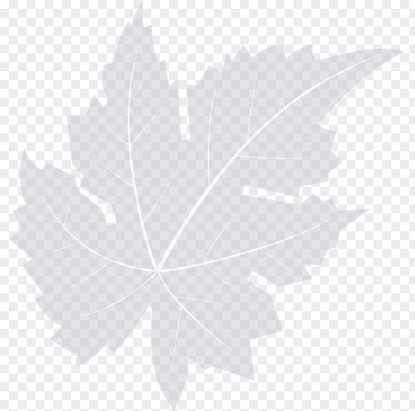 Watermark Maple Leaf Desktop Wallpaper Computer Font PNG