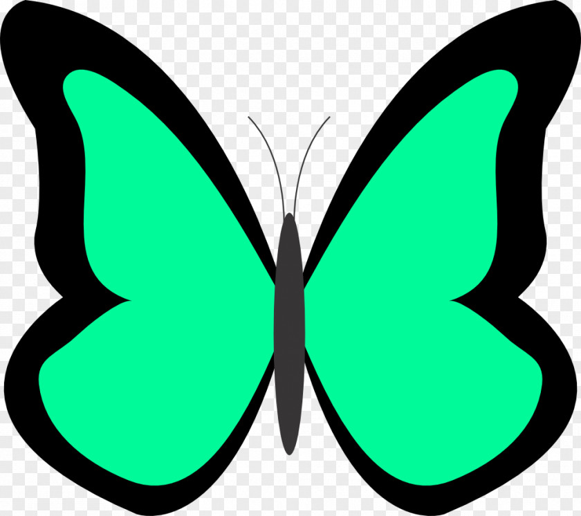 50th Birthday Clipart Butterfly Green Free Content Clip Art PNG