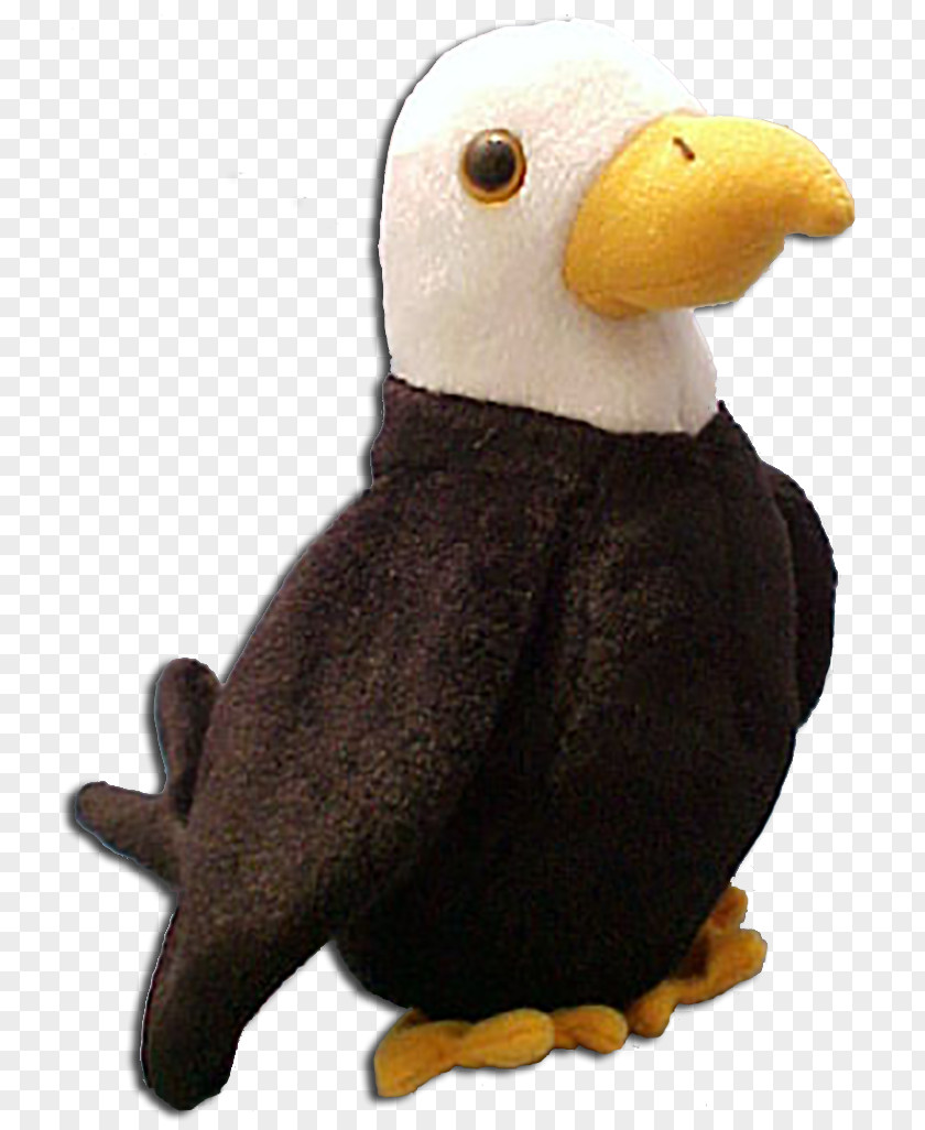 Bird Stuffed Animals & Cuddly Toys Eagle Beanie Babies Parrot PNG