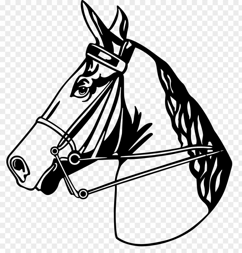 Horses Clipart Horse White Black Clip Art PNG