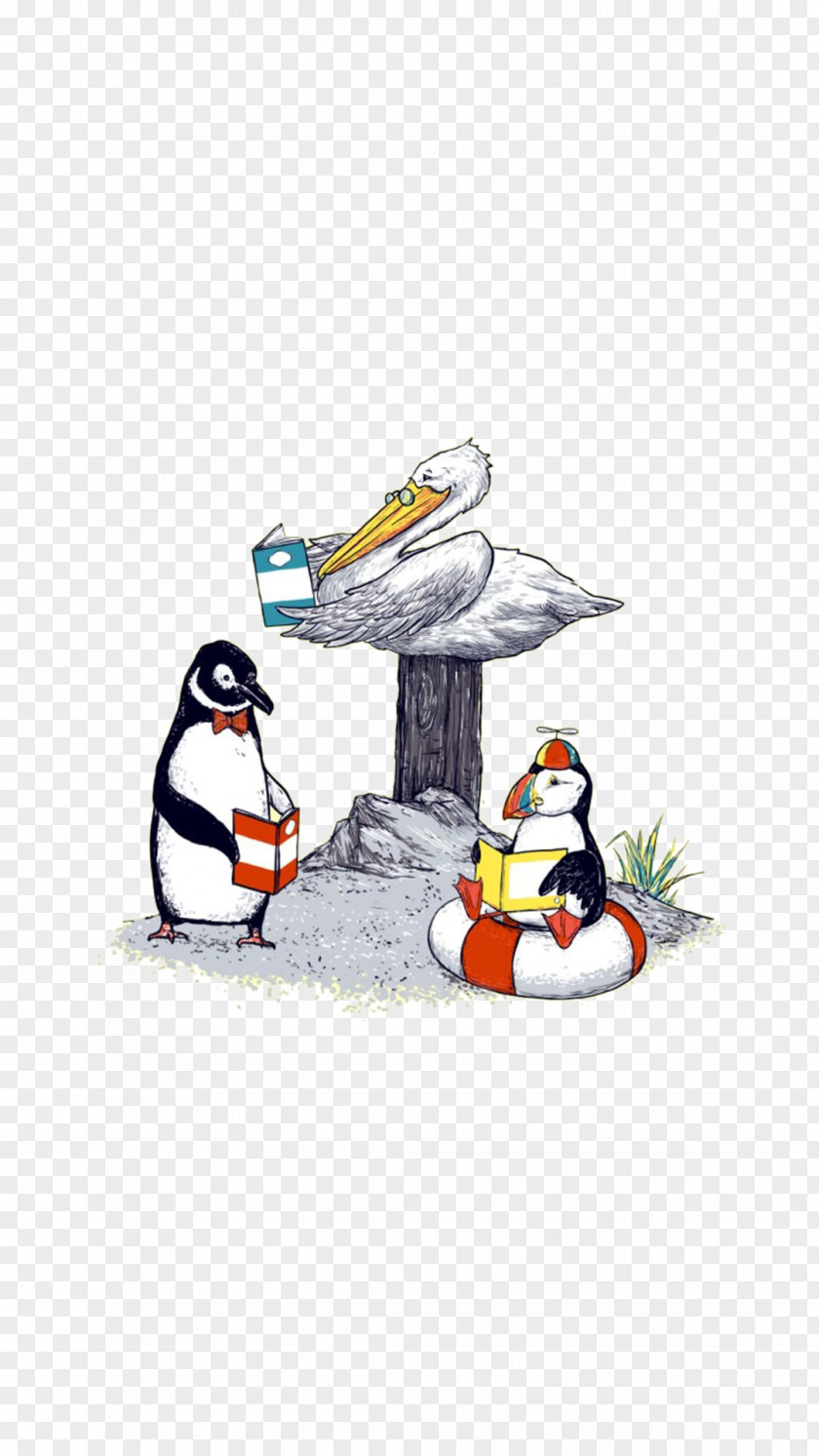 Penguins And Seabirds Penguin Seabird Illustration PNG