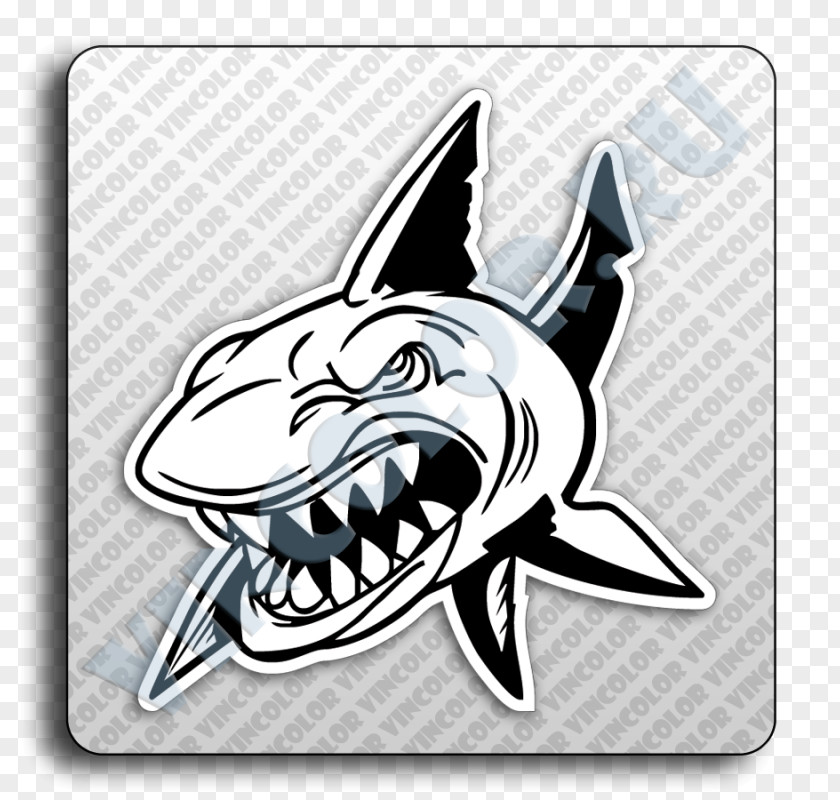 Shark Requiem Logo Brand Car PNG