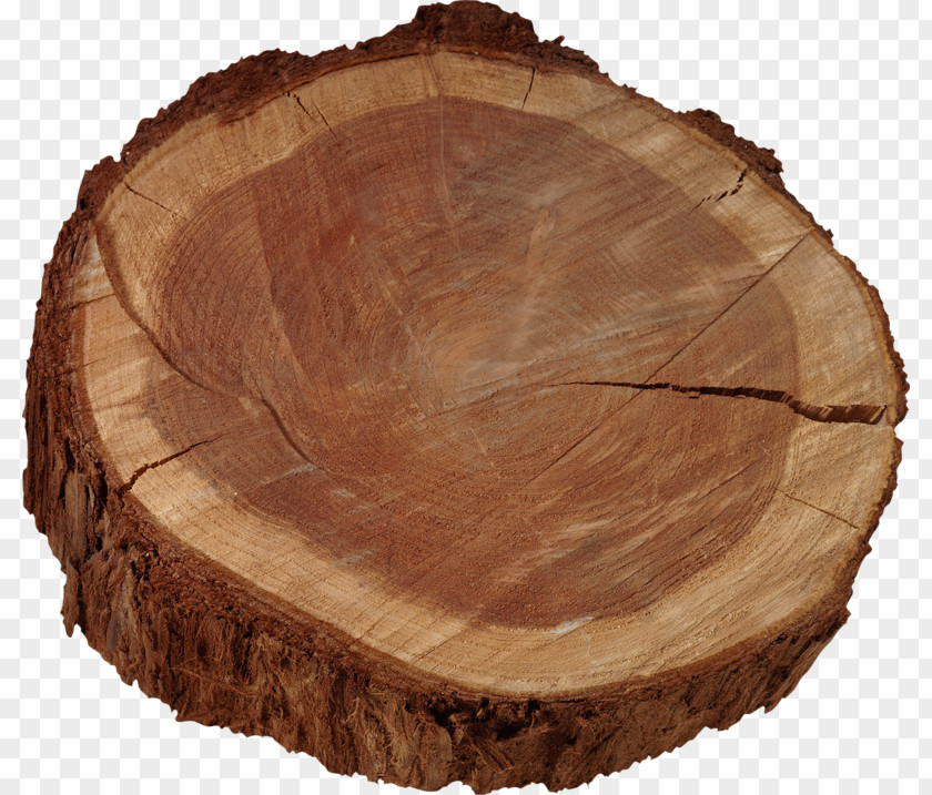A Wooden Pier Firewood Tree Hardwood International Tropical Timber Agreement, 2006 PNG