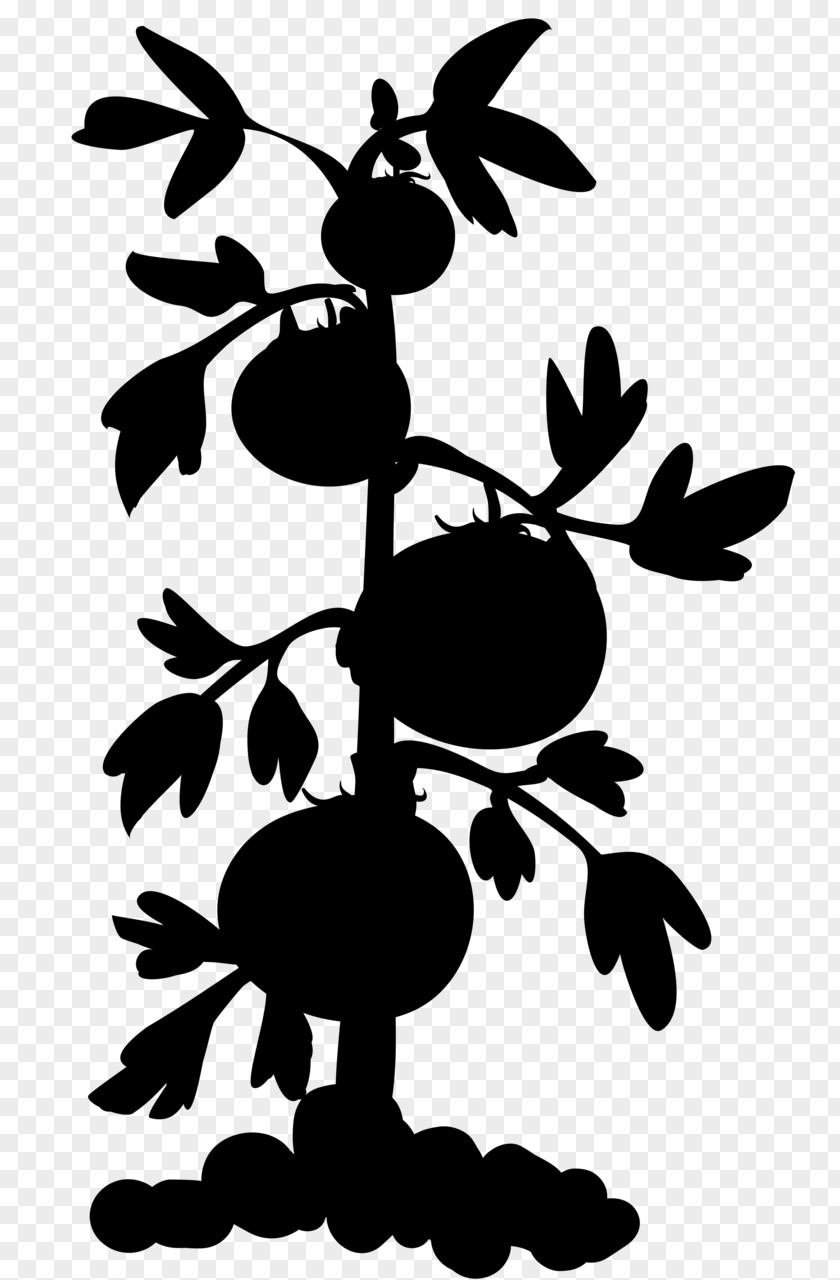 Clip Art Plants Grape Watermelon Fruit PNG