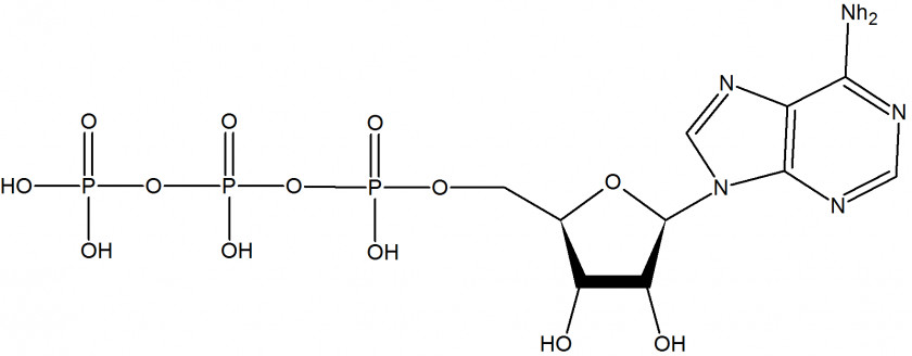 Dimethyl Sulfide Organic Chemistry Chemical Compound Acid Anhydride PNG
