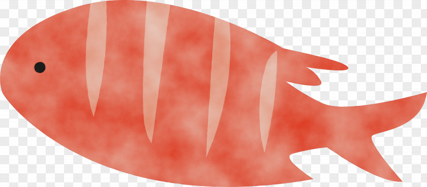 Fish Biology Science PNG