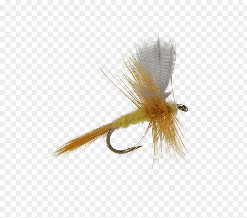 Fly Artificial Emergers Fishing Insect PNG