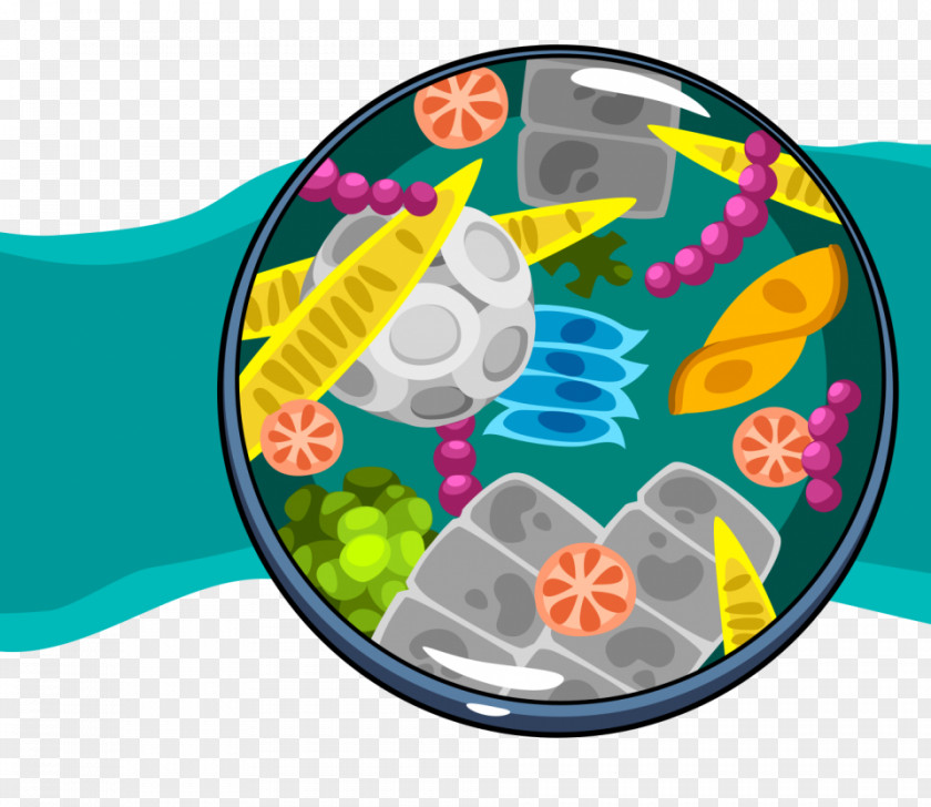 Food Addition Zooplankton Organism Water Web PNG