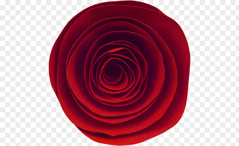 Circle Garden Roses Spiral PNG