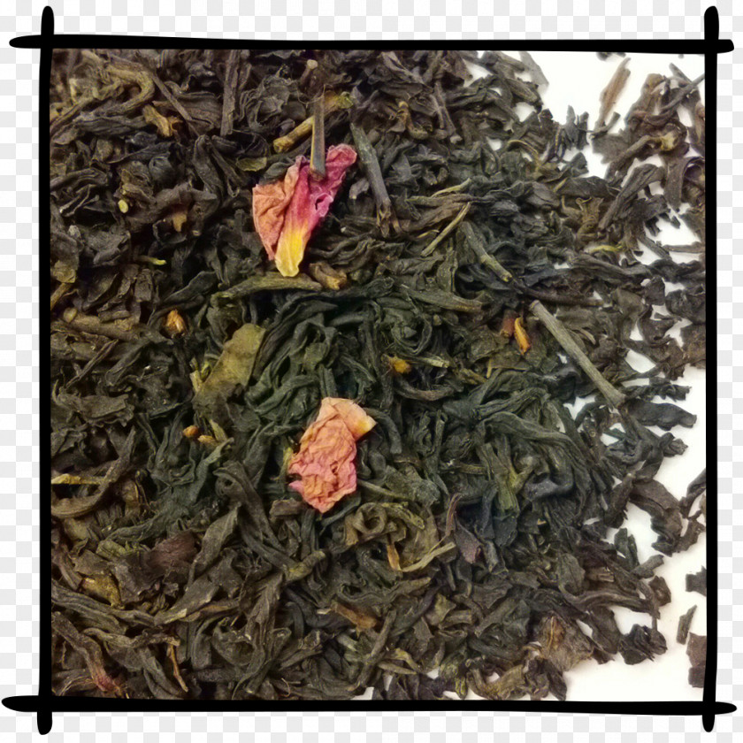 Ink Chinese Nilgiri Tea Dianhong Plant PNG