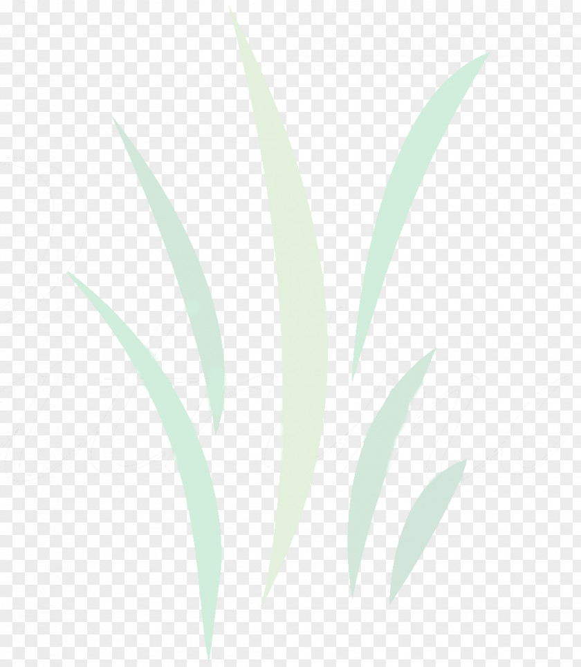 Leaf Desktop Wallpaper Plant Stem Font Close-up PNG