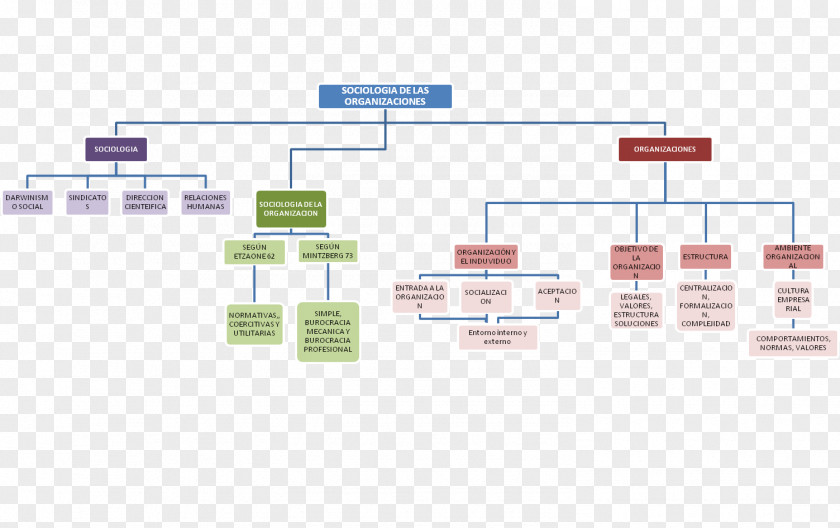 Line Organization Angle PNG