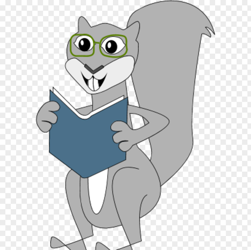 Pictures Of Squirrel Eastern Gray Clip Art PNG