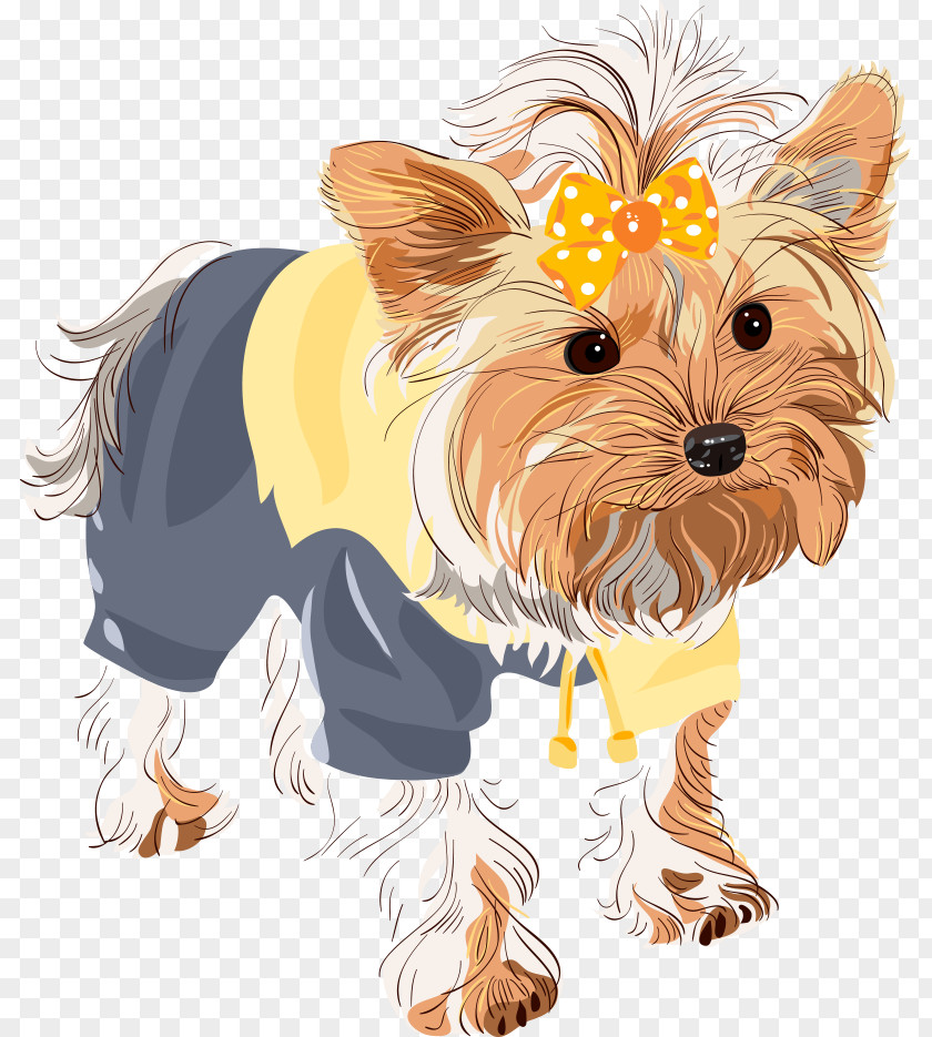 Vector Cute Puppy Yorkshire Terrier Shih Tzu Dog Breed PNG
