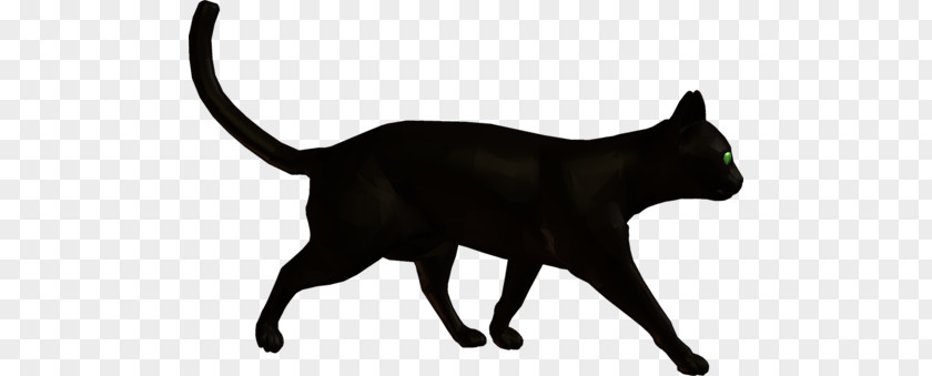 Cat Black Domestic Short-haired Dog Whiskers PNG
