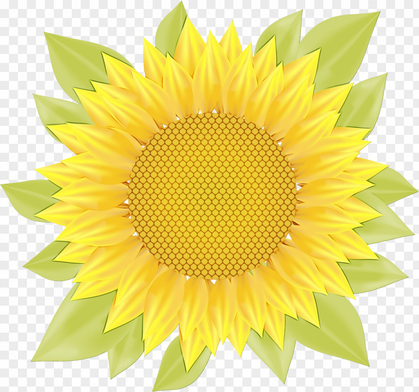 Dandelion Royalty-free Icon PNG