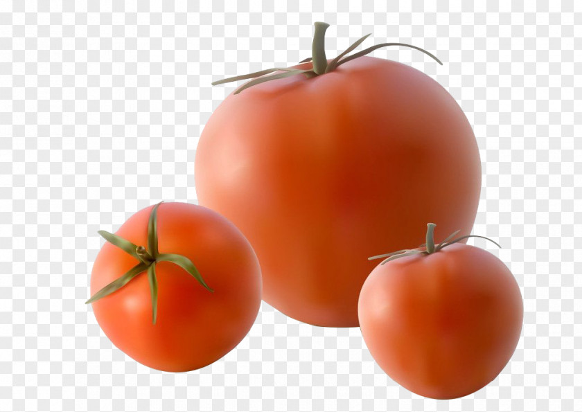 Decoration Of Tomatoes Tomato Royalty-free Illustration PNG