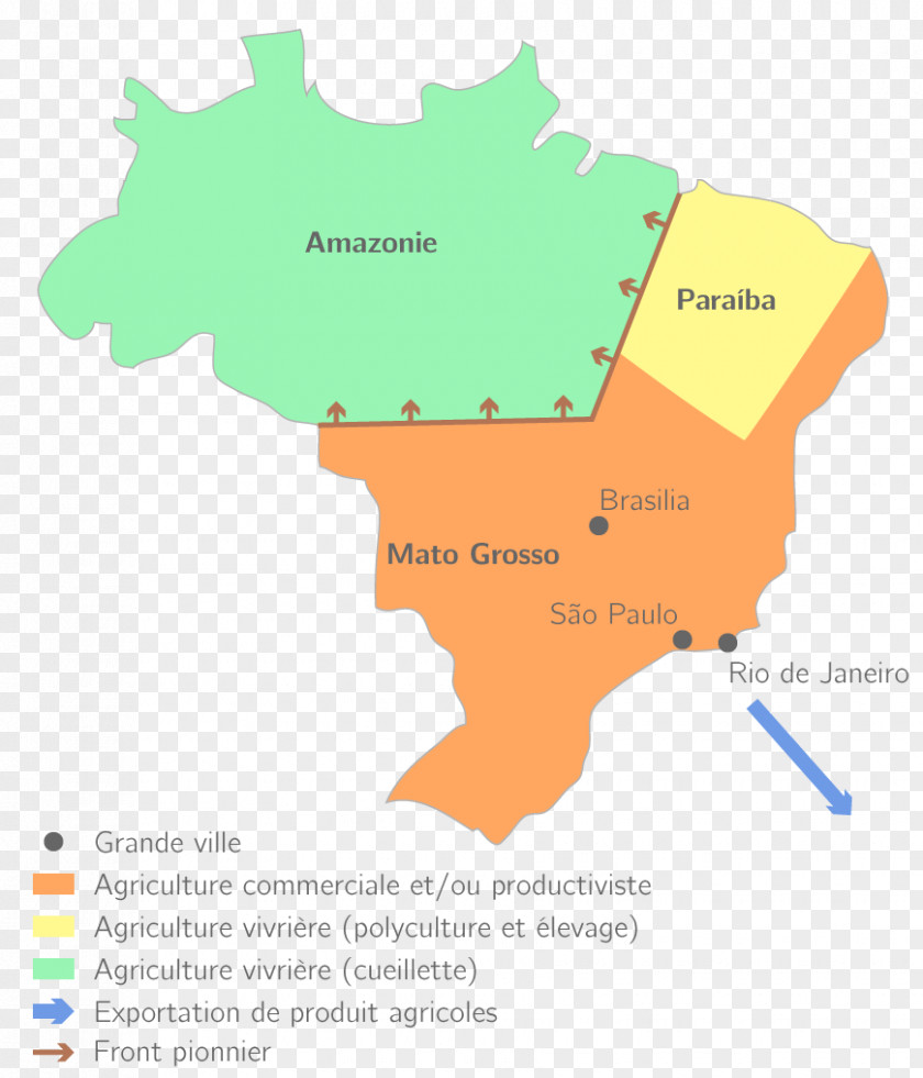 Deforestation Brazil Agriculture Systemy Rolnicze Intensive Farming Agricultura En Brasil PNG