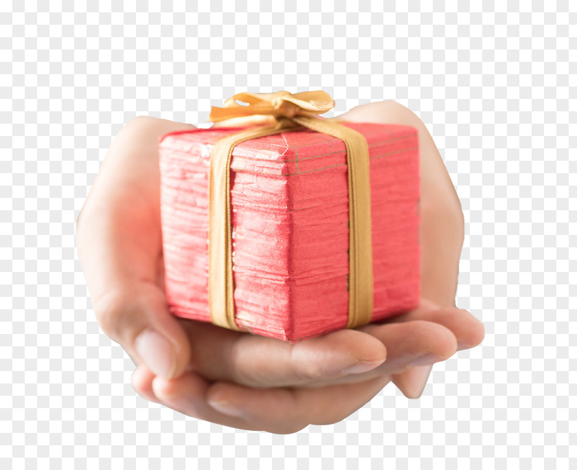 Holding Red Gift Box Free Downloads Ribbon Gratis Shoelace Knot PNG