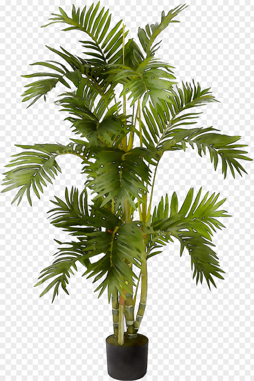 Nearly Natural, Inc. Artificial & Dried Flora Plants Palm Trees PNG