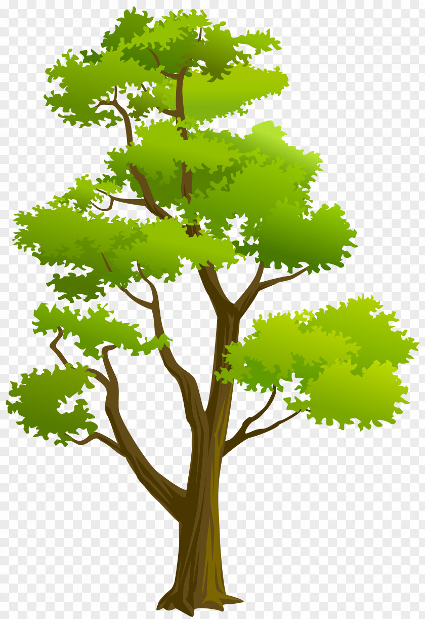 Tree Clip Art PNG