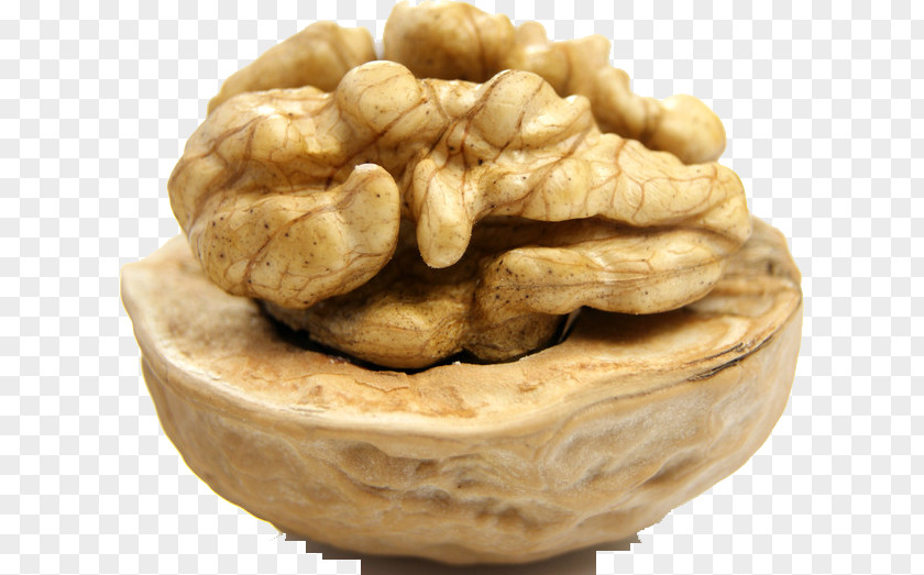 Walnut China Food Eating Nutrition PNG