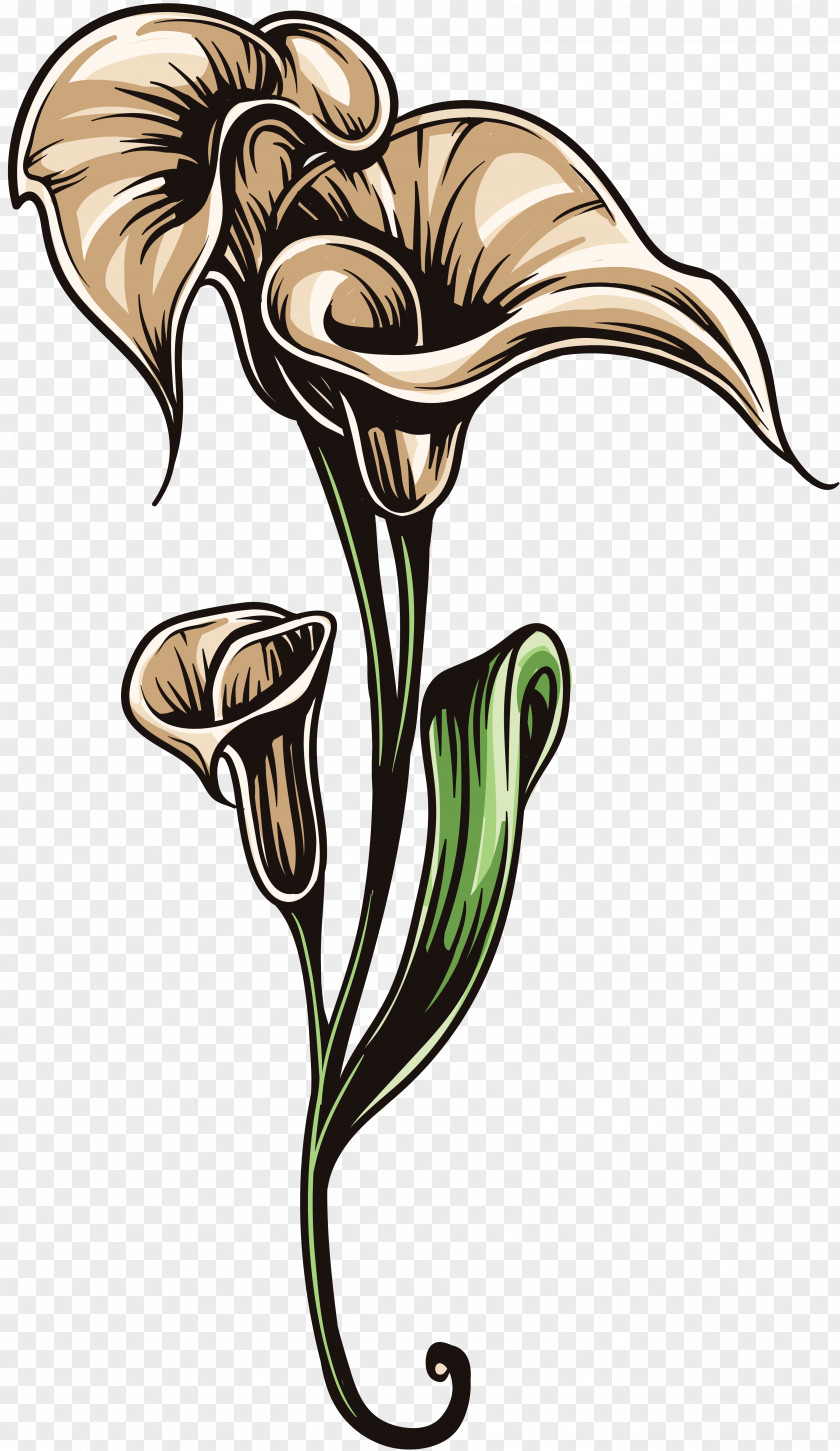 Art Flowers Drawing Flower Pencil Image Design PNG