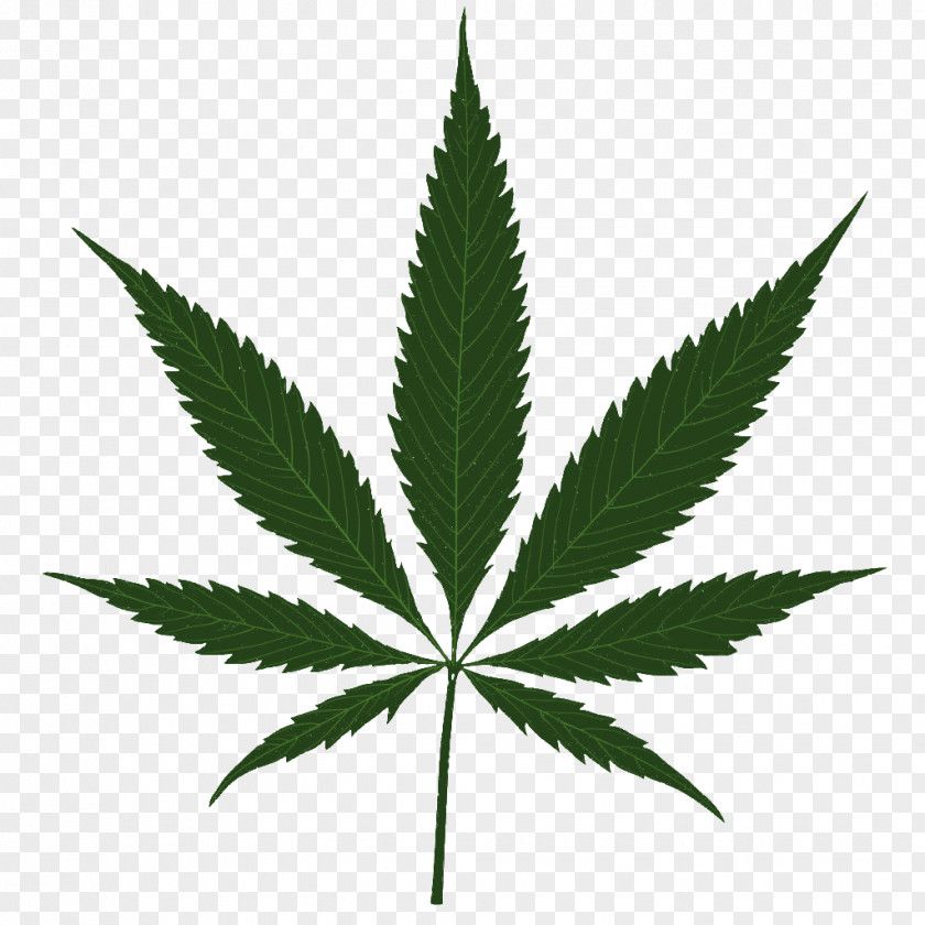 Cannabis Sativa Clip Art Marijuana Leaf PNG