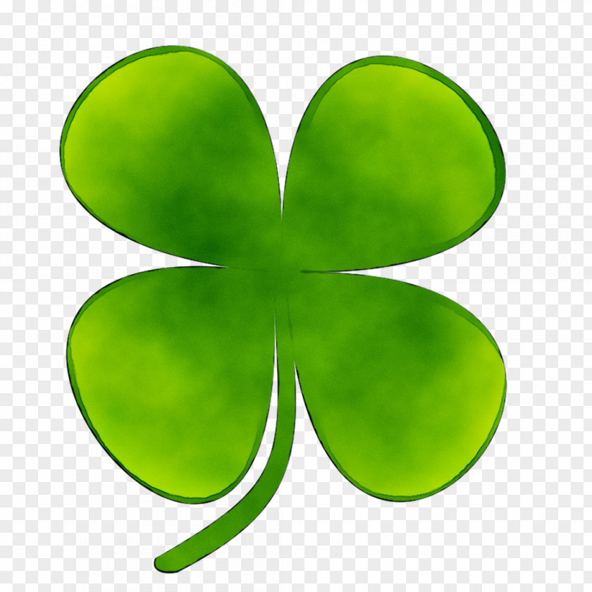 Graphics Product Design Shamrock PNG