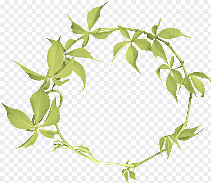 Ivy Family Christmas Wreath Drawing PNG