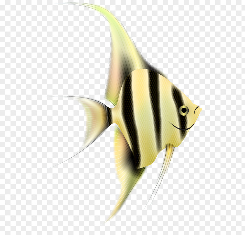 Bonyfish Fin Fish Pomacanthidae Yellow Pomacentridae PNG