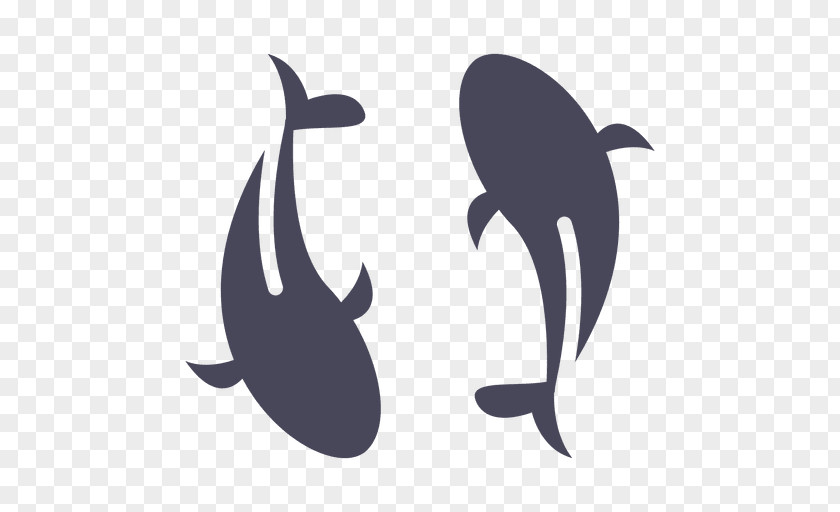 Dolphin Koi Goldfish Image PNG