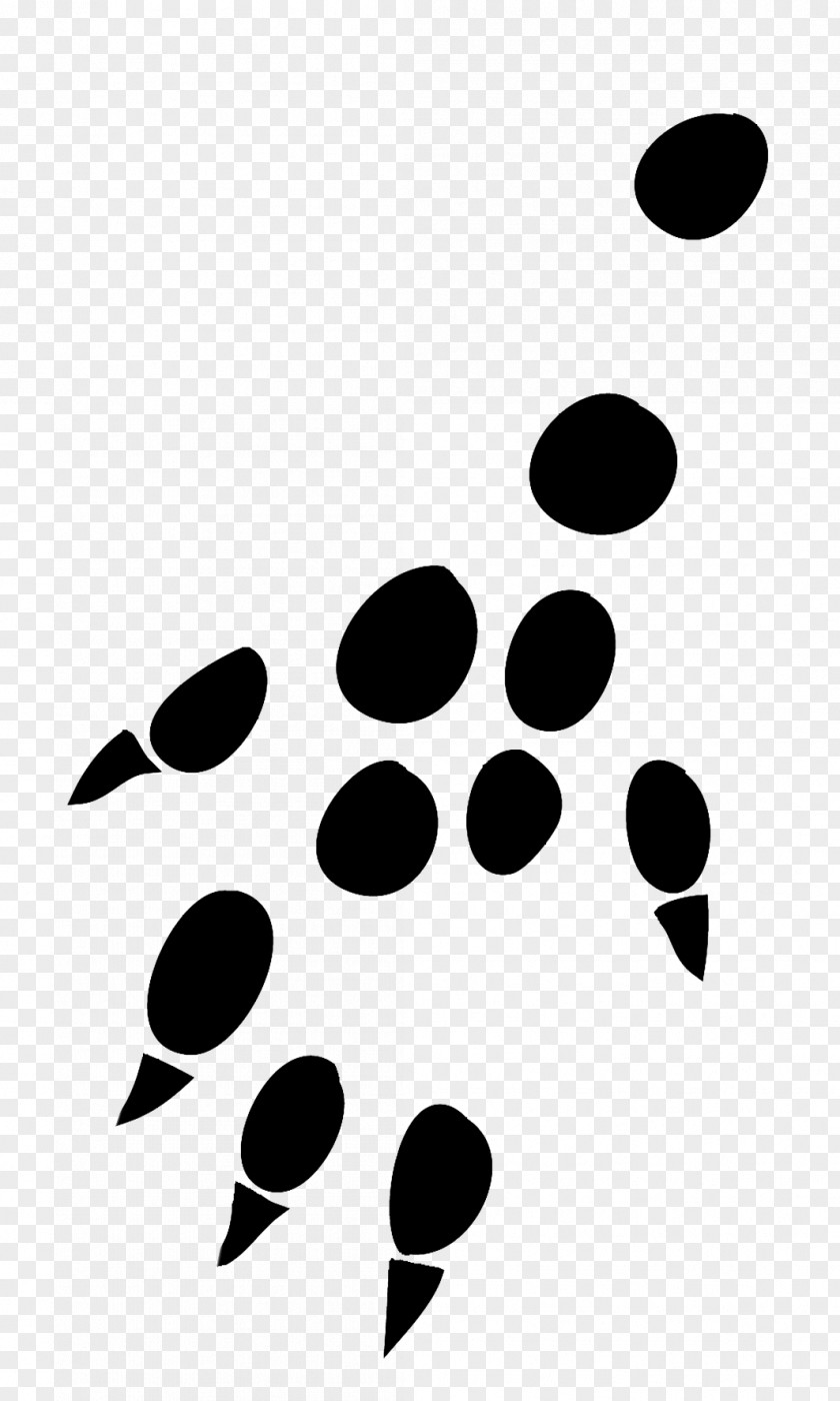 Footprint Hedgehog Paw Mouse Malinois Dog Rat PNG