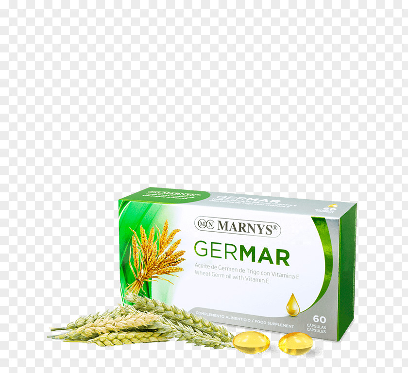 Health Dietary Supplement Wheat Germ Oil Capsule Cereal Vitamin PNG