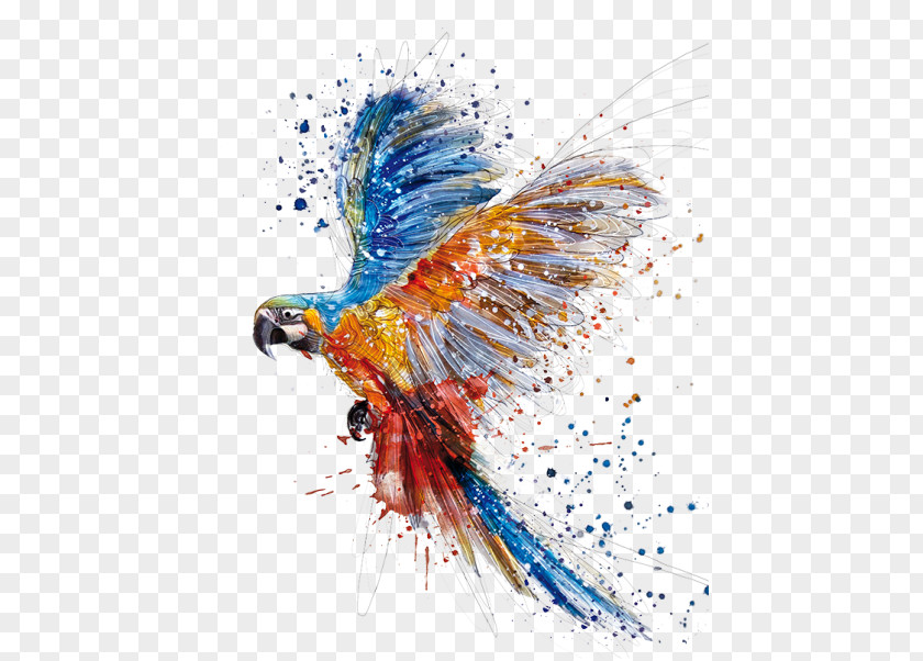 Parrot Bird Watercolor Painting Drawing PNG