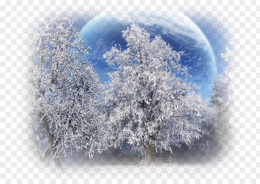 Winter Landscape Snow Desktop Wallpaper Nature Drawing PNG