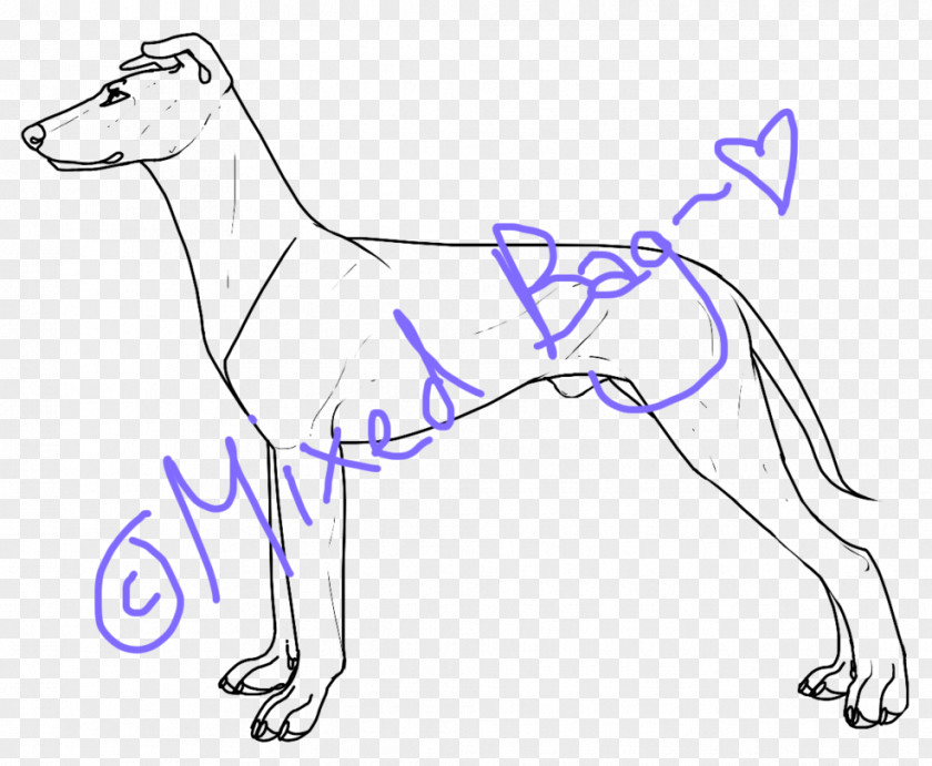 Dog Breed Line Art DeviantArt PNG